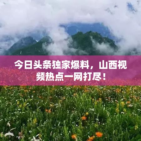 今日頭條獨(dú)家爆料，山西視頻熱點(diǎn)一網(wǎng)打盡！