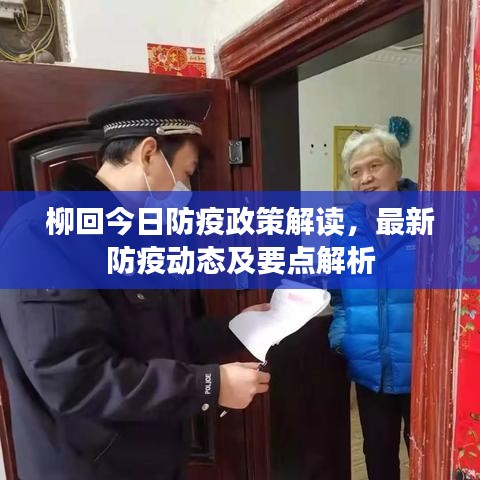 柳回今日防疫政策解讀，最新防疫動態(tài)及要點(diǎn)解析