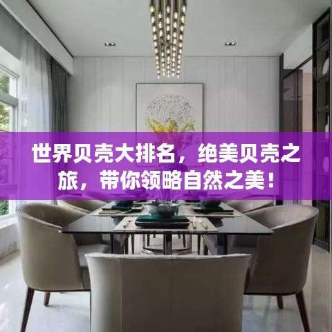 世界貝殼大排名，絕美貝殼之旅，帶你領(lǐng)略自然之美！
