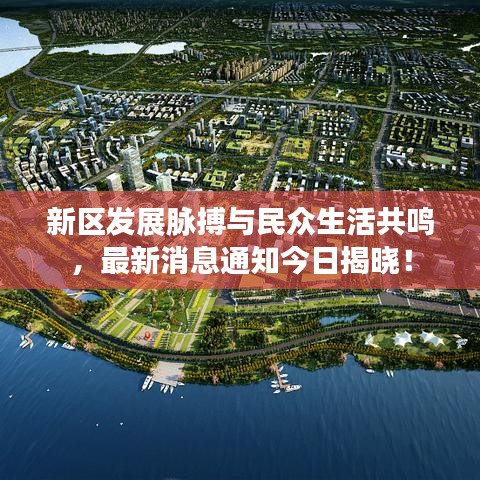 新區(qū)發(fā)展脈搏與民眾生活共鳴，最新消息通知今日揭曉！