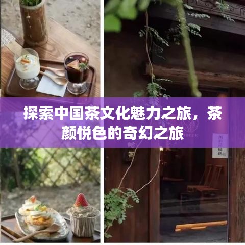 探索中國茶文化魅力之旅，茶顏悅色的奇幻之旅