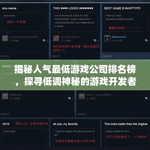 揭秘人氣最低游戲公司排名榜，探尋低調(diào)神秘的游戲開發(fā)者之路