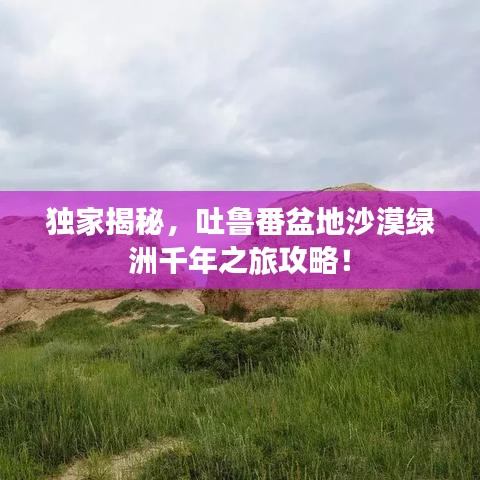 花枝招展 第5頁(yè)