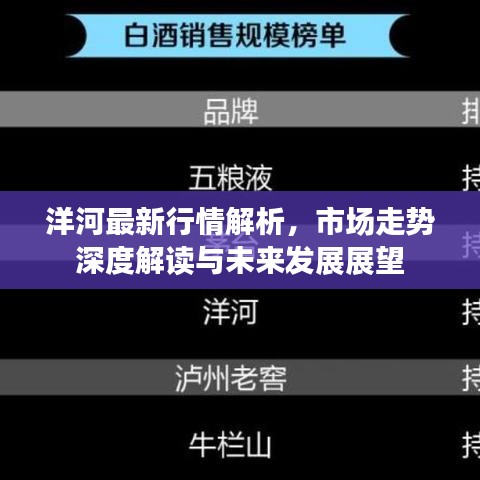 洋河最新行情解析，市場走勢深度解讀與未來發(fā)展展望