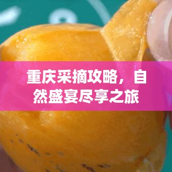 飛紅滴翠 第5頁