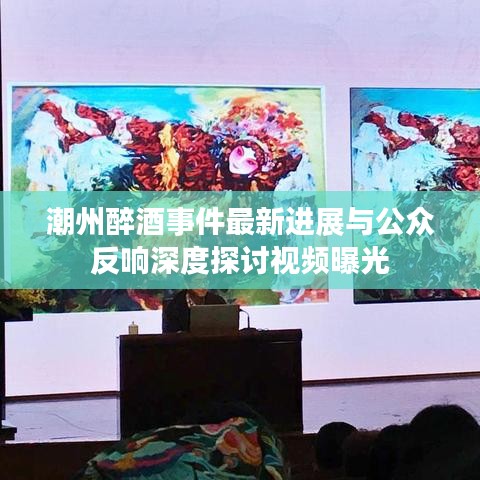 潮州醉酒事件最新進展與公眾反響深度探討視頻曝光