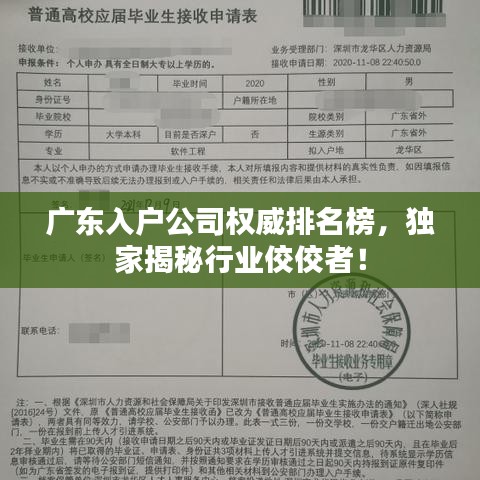 廣東入戶公司權(quán)威排名榜，獨(dú)家揭秘行業(yè)佼佼者！