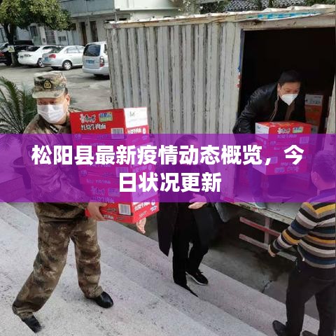 松陽縣最新疫情動態(tài)概覽，今日狀況更新