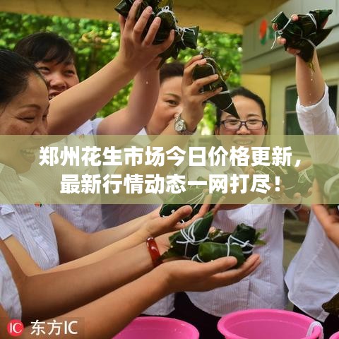 鄭州花生市場今日價格更新，最新行情動態(tài)一網(wǎng)打盡！