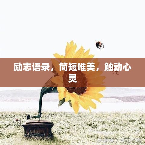勵(lì)志語(yǔ)錄，簡(jiǎn)短唯美，觸動(dòng)心靈