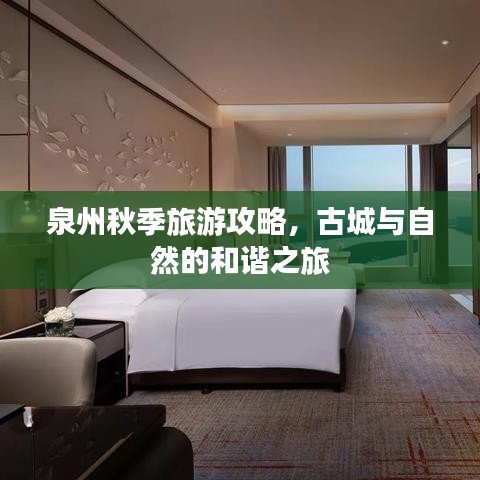 泉州秋季旅游攻略，古城與自然的和諧之旅