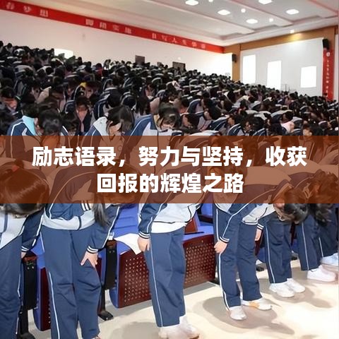勵志語錄，努力與堅持，收獲回報的輝煌之路