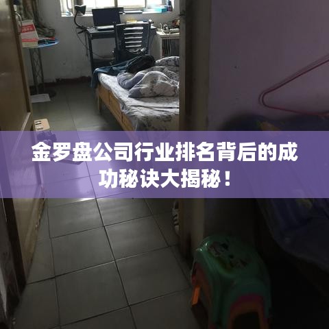 金羅盤公司行業(yè)排名背后的成功秘訣大揭秘！