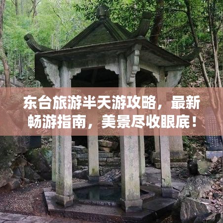 東臺(tái)旅游半天游攻略，最新暢游指南，美景盡收眼底！
