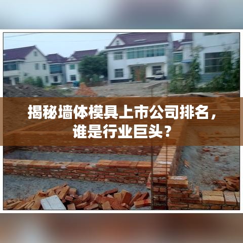 揭秘墻體模具上市公司排名，誰是行業(yè)巨頭？