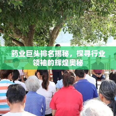 藥業(yè)巨頭排名揭秘，探尋行業(yè)領(lǐng)袖的輝煌奧秘