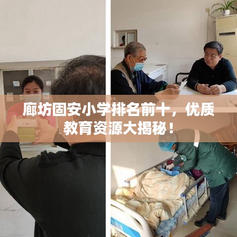 廊坊固安小學(xué)排名前十，優(yōu)質(zhì)教育資源大揭秘！