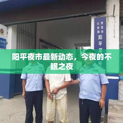 陽(yáng)平夜市最新動(dòng)態(tài)，今夜的不眠之夜