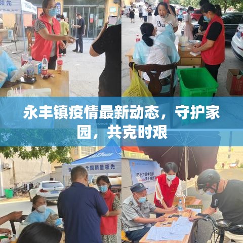 永豐鎮(zhèn)疫情最新動(dòng)態(tài)，守護(hù)家園，共克時(shí)艱