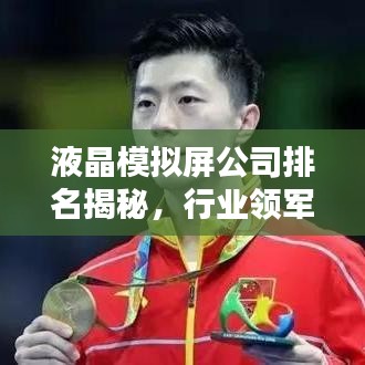 液晶模擬屏公司排名揭秘，行業(yè)領(lǐng)軍者全覽！