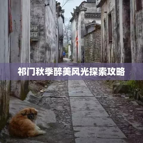 祁門秋季醉美風(fēng)光探索攻略