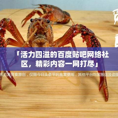 「活力四溢的百度貼吧網(wǎng)絡(luò)社區(qū)，精彩內(nèi)容一網(wǎng)打盡」