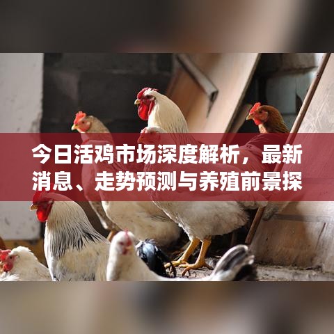 烏鳥私情 第5頁(yè)