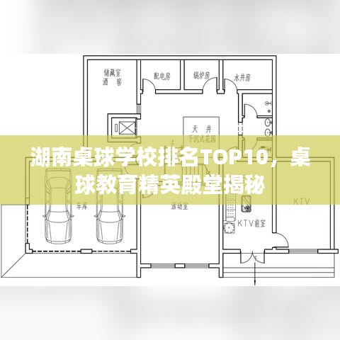 湖南桌球?qū)W校排名TOP10，桌球教育精英殿堂揭秘