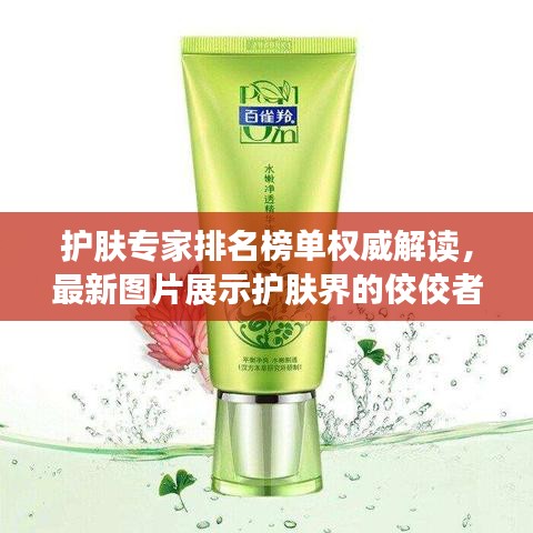 護膚專家排名榜單權威解讀，最新圖片展示護膚界的佼佼者TOP榜