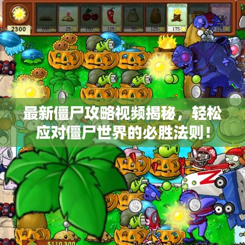 最新僵尸攻略視頻揭秘，輕松應(yīng)對僵尸世界的必勝法則！