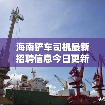 海南鏟車司機最新招聘信息今日更新