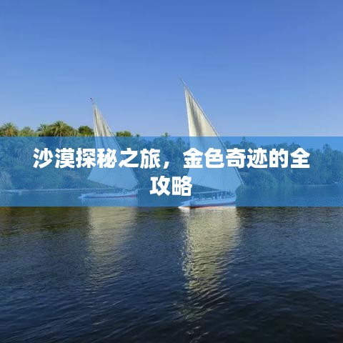 沙漠探秘之旅，金色奇跡的全攻略