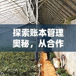志同道合 第4頁