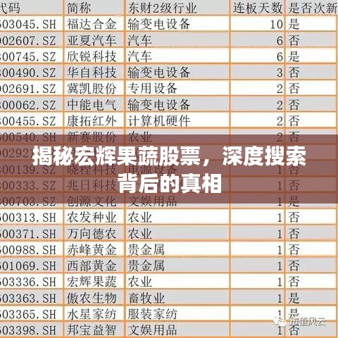 揭秘宏輝果蔬股票，深度搜索背后的真相
