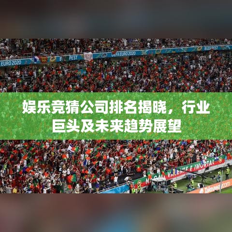 娛樂競猜公司排名揭曉，行業(yè)巨頭及未來趨勢展望
