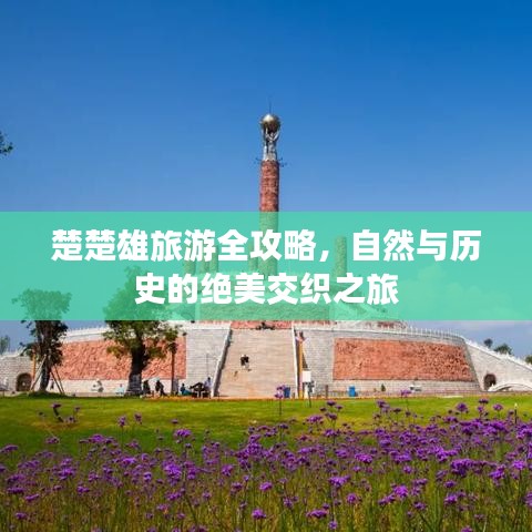 楚楚雄旅游全攻略，自然與歷史的絕美交織之旅