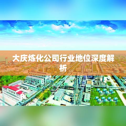 大慶煉化公司行業(yè)地位深度解析