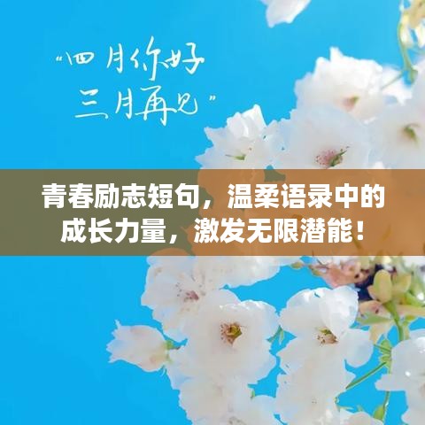 青春勵(lì)志短句，溫柔語(yǔ)錄中的成長(zhǎng)力量，激發(fā)無(wú)限潛能！