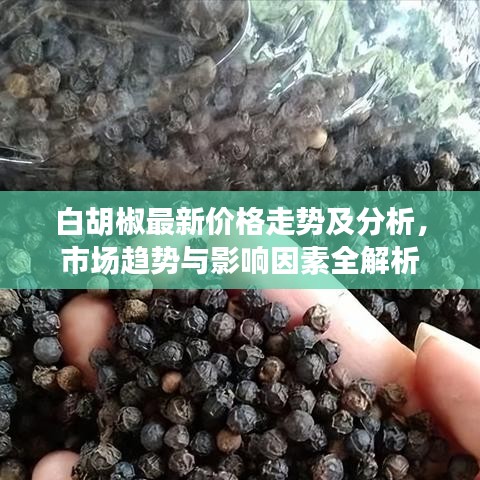 白胡椒最新價格走勢及分析，市場趨勢與影響因素全解析