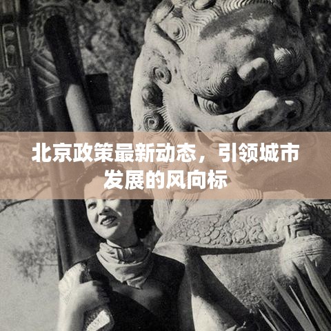 北京政策最新動態(tài)，引領(lǐng)城市發(fā)展的風(fēng)向標(biāo)