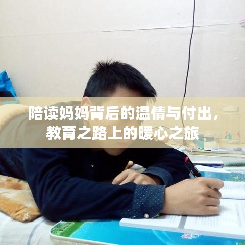 陪讀媽媽背后的溫情與付出，教育之路上的暖心之旅