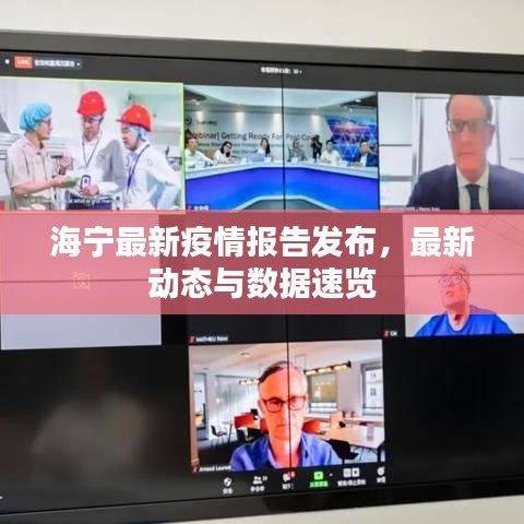 海寧最新疫情報告發(fā)布，最新動態(tài)與數(shù)據(jù)速覽