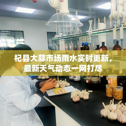 杞縣大蒜市場雨水實時更新，最新天氣動態(tài)一網(wǎng)打盡