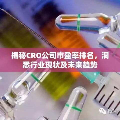 揭秘CRO公司市盈率排名，洞悉行業(yè)現(xiàn)狀及未來趨勢(shì)