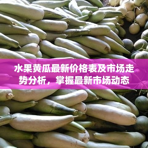 水果黃瓜最新價(jià)格表及市場走勢分析，掌握最新市場動(dòng)態(tài)