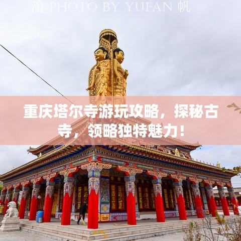 星星打烊 第4頁