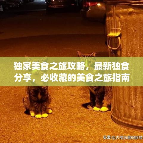 獨(dú)家美食之旅攻略，最新獨(dú)食分享，必收藏的美食之旅指南