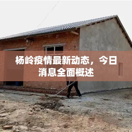 楊嶺疫情最新動(dòng)態(tài)，今日消息全面概述