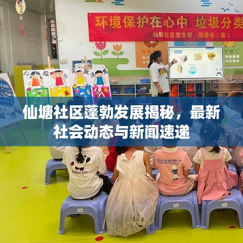 仙塘社區(qū)蓬勃發(fā)展揭秘，最新社會動態(tài)與新聞速遞
