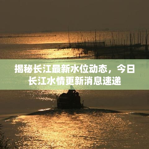 揭秘長江最新水位動(dòng)態(tài)，今日長江水情更新消息速遞